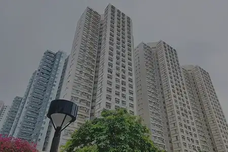Rosa Realty